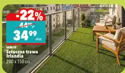 Biedronka SANICO Sztuczna trawa Irlandia oferta
