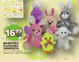 Stokrotka Maskotka oferta