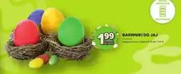 Stokrotka Barwniki do jajek oferta
