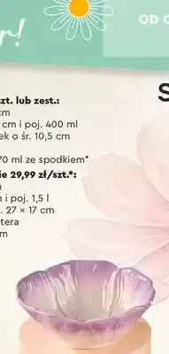 Biedronka Miseczka o średnicy 15 cm oferta