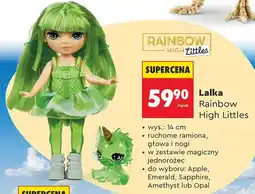 Biedronka Lalka Rainbow High Littles, różne rodzaje oferta