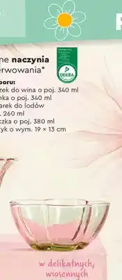 Biedronka Szklana miseczka oferta