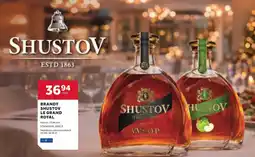 Stokrotka Brandy Shustov oferta