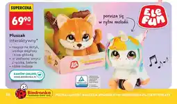 Biedronka Pluszak interaktywny, różne rodzaje oferta