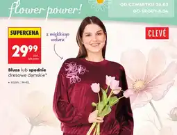Biedronka Bluza dresowa damska oferta