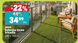 Biedronka Sztuczna trawa Irlandia 200x150 cm oferta