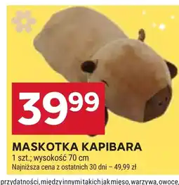 Stokrotka Maskotka oferta