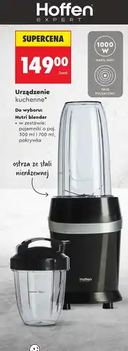 Biedronka Blender Hoffen oferta
