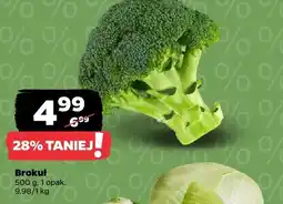 Netto Brokuł oferta