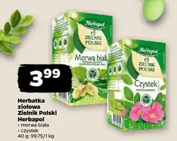 Netto Herbatka ziołowa Zielnik Polski (morwa biała, czystek) oferta