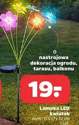 Netto Lampka LED kwiatek oferta