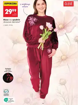 Biedronka Bluza dresowa TEX oferta
