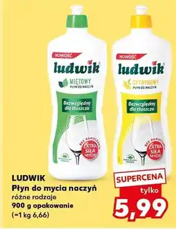 Kaufland Płyn do mycia naczyń różne rodzaje oferta