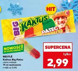 Kaufland Kaktus Big Patec różne rodzaje oferta