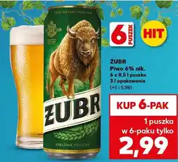 Kaufland Piwo Żubr oferta
