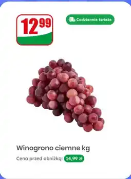 Dino Winogrono ciemne oferta