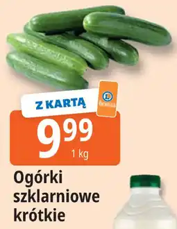 E.Leclerc Ogórki szklarniowe krótkie oferta