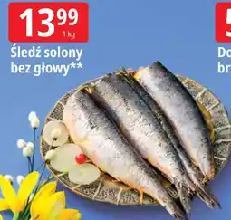 E.Leclerc Śledź solony bez głowy oferta