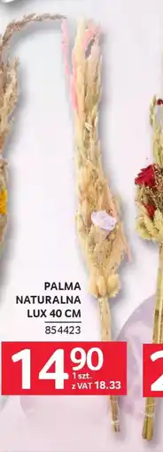 Selgros Palma naturalna lux 40 cm oferta