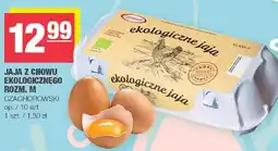Spar Jaja z chowu ekologicznego rozm. M oferta