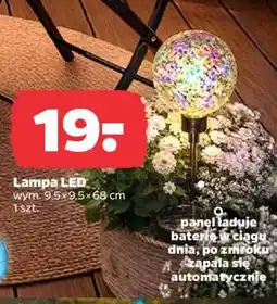 Netto Lampa LED oferta