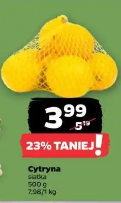 Netto Cytryna oferta