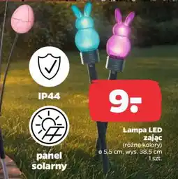 Netto Lampa LED zając oferta