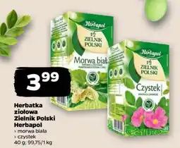 Netto Herbatka ziołowa Zielnik Polski Herbapol oferta