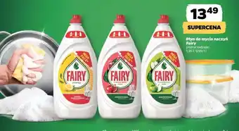 Netto Płyn do mycia naczyń Fairy oferta