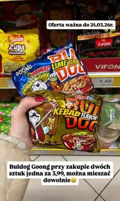 Dino Zupa błyskawiczna z makaronem Buldog, różne rodzaje oferta