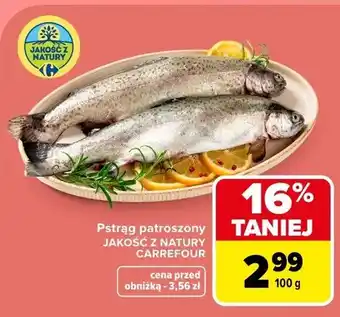 Carrefour Pstrąg patroszony oferta