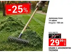 Merkury Market Grabie z jesionowym trzonem 14 zębów oferta