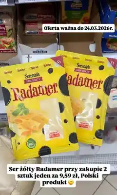 Dino Ser żółty Radamer oferta