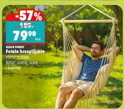 Biedronka Fotel brazylijskie różne rodzaje, kolor: czarny, szary i beżowy oferta