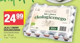 EuroSPAR Jaja z chowu ekologicznego czachorowski oferta
