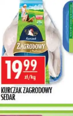 Sklepy Doroty Kurczak Zagrodowy Sedar oferta