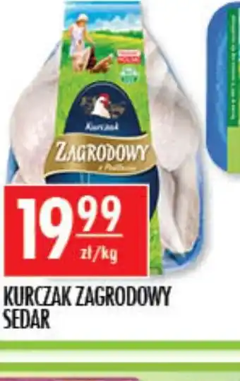 Sklepy Doroty Kurczak Zagrodowy Sedar oferta