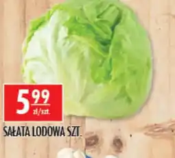 Sklepy Doroty Sałata lodowa oferta