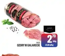 TomiMarkt Ozory w galarecie Haga oferta