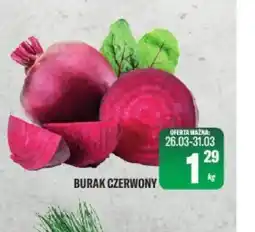 TomiMarkt Burak czerwony oferta