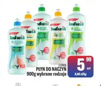 TomiMarkt Płyn do naczyń Ludwik oferta