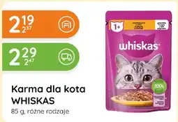 Eurocash Whiskas karma dla kota oferta