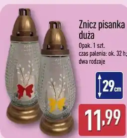 ALDI Znicz pisanka duża oferta