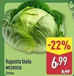 ALDI Kapusta biała wczesna oferta