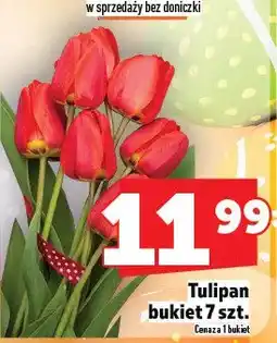 Topaz Tulipan bukiet 7 szt oferta