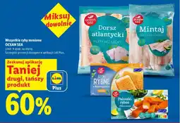 Lidl Wszystkie ryby mrożone ocean sea oferta