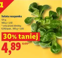 Lidl Sałata roszponka oferta
