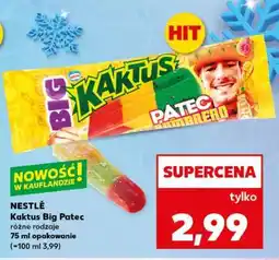 Kaufland Kaktus Big Patec oferta