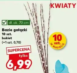 Kaufland Bazie gałązki 10 szt. bukiet oferta
