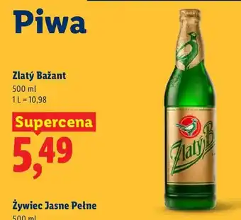 Lidl Piwo Złaty Bażant oferta